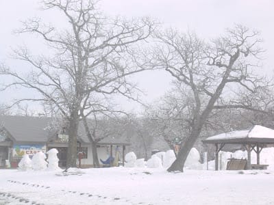[Hokkaido北海道]蜜月之旅Day4屈斜路湖>摩周湖>鶴見台丹頂鶴>成吉斯汗蒙古烤肉