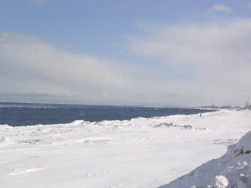 [Hokkaido北海道]蜜月之旅Day3 大雪山國立公園>北見狐狸村>網走刑務所>螃蟹火鍋大餐>夜宿阿寒溫泉旅館